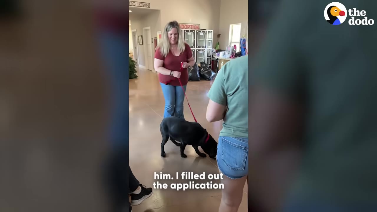 A woman in a red shirt and jeans stands in an adoption center holding a red leash attached to a black dog sniffing the floor.