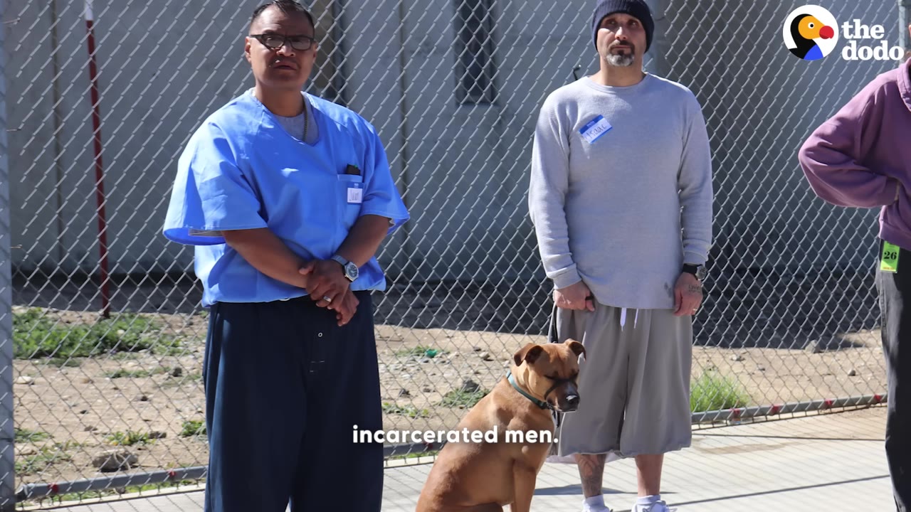 Two men stand in front of a chain-link fence, one wearing a blue uniform and the other in a grey sweatshirt, with a brown dog sitting on the ground between them.
