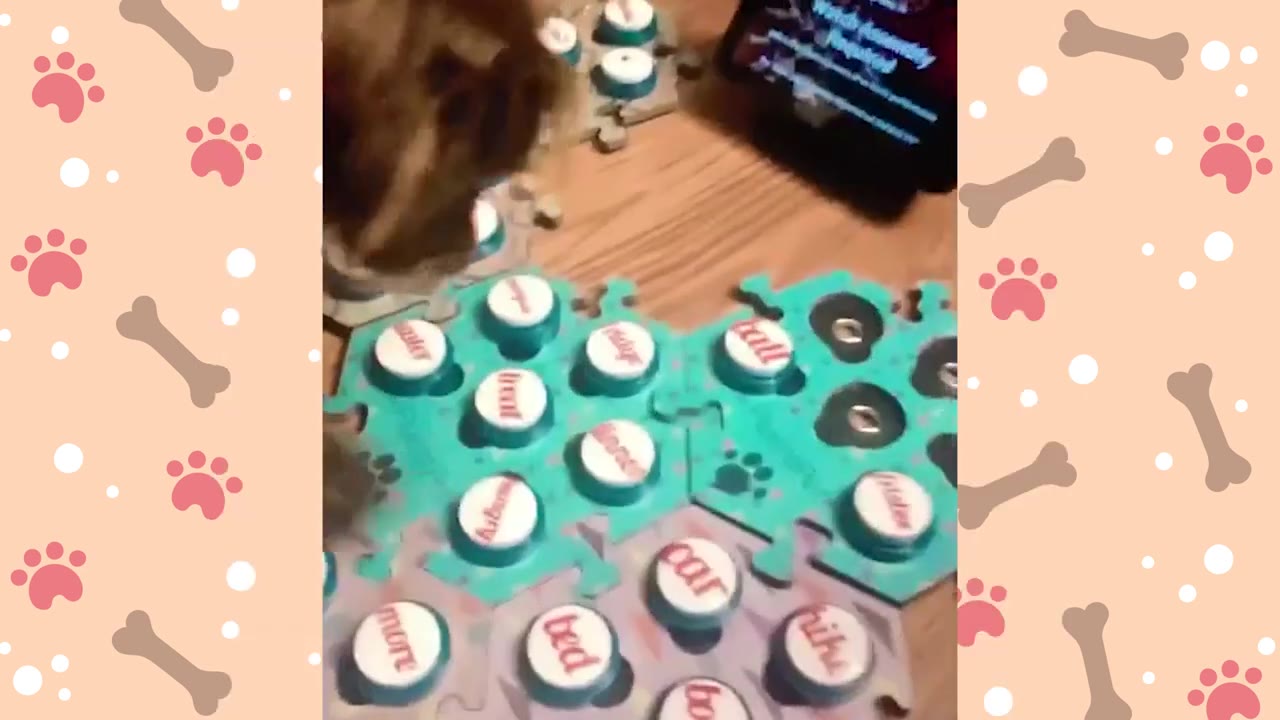 A close-up of a dog's head near a teal puzzle-shaped board containing several white buttons with words like 'treat', 'more', 'bed', and 'car' printed on them.