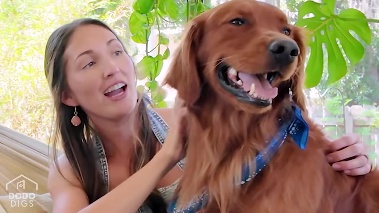 A woman with long brown hair smiles next to a happy golden retriever wearing a blue bandana, sitting together in a hammock in a sunroom filled with green plants.