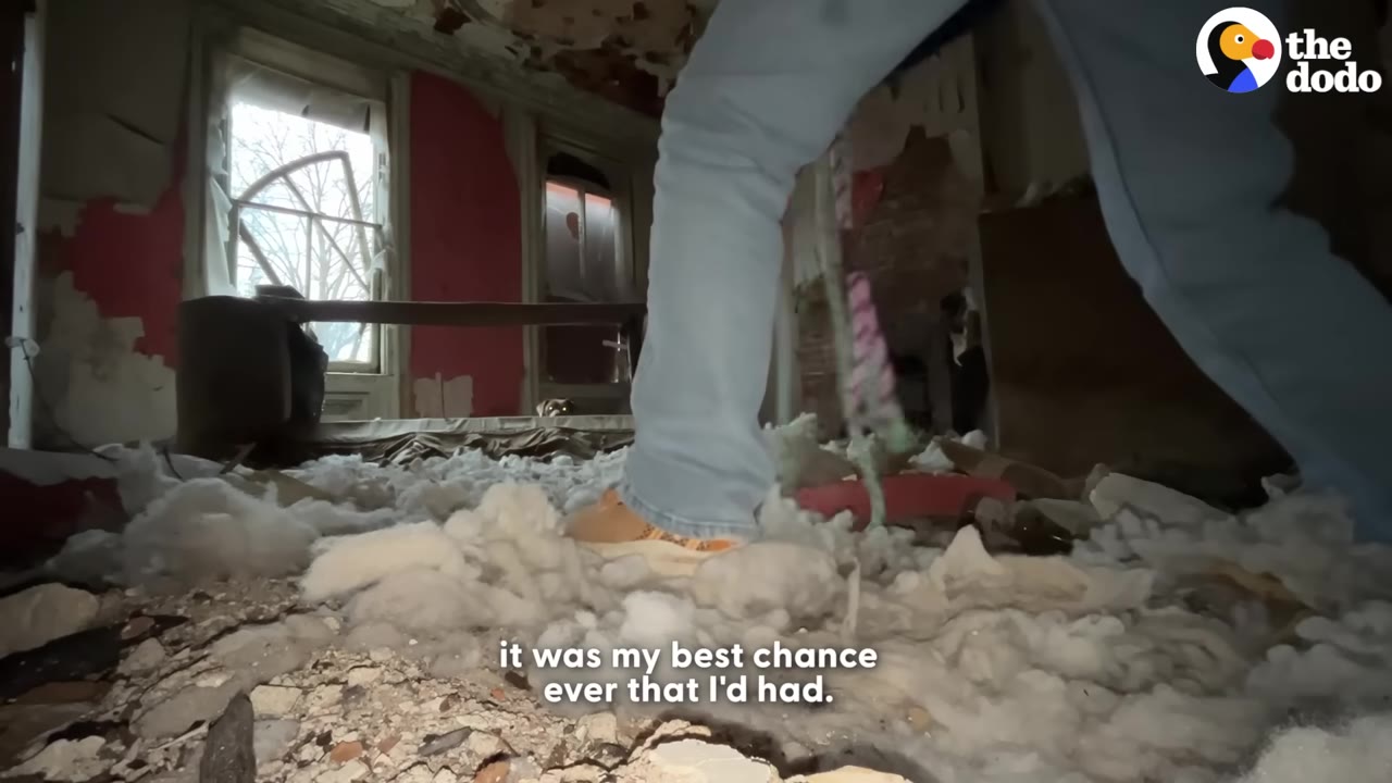 A low-angle shot of a person's legs in light blue jeans standing amidst white stuffing and debris on the floor of a dilapidated room.
