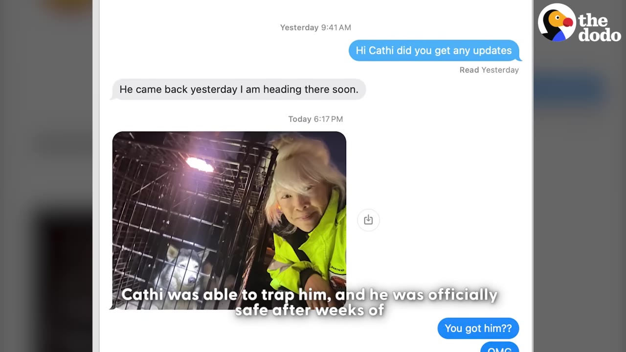 A screenshot of a text message conversation showing a photo of a woman in a bright yellow jacket smiling next to a husky inside a metal cage trap at night.