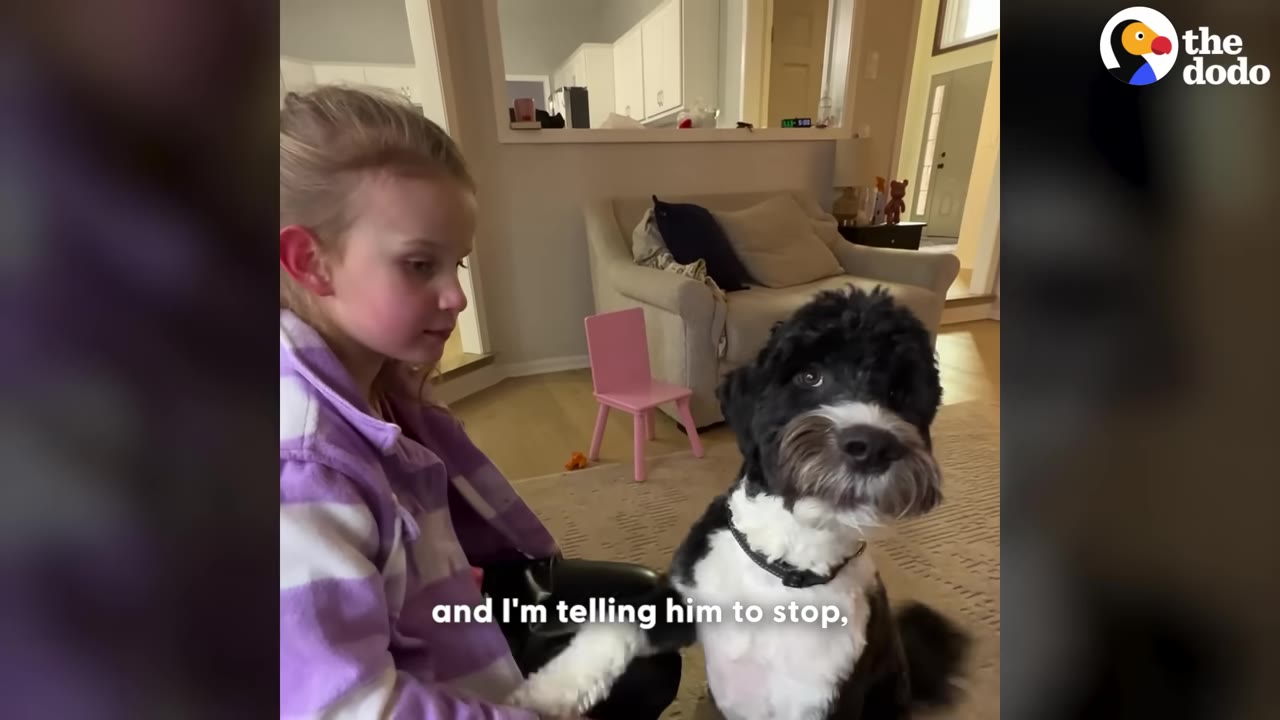 A black and white curly-haired dog sits next to a young girl in a purple jacket, placing its paw on her lap and looking directly at the camera with an attentive expression.