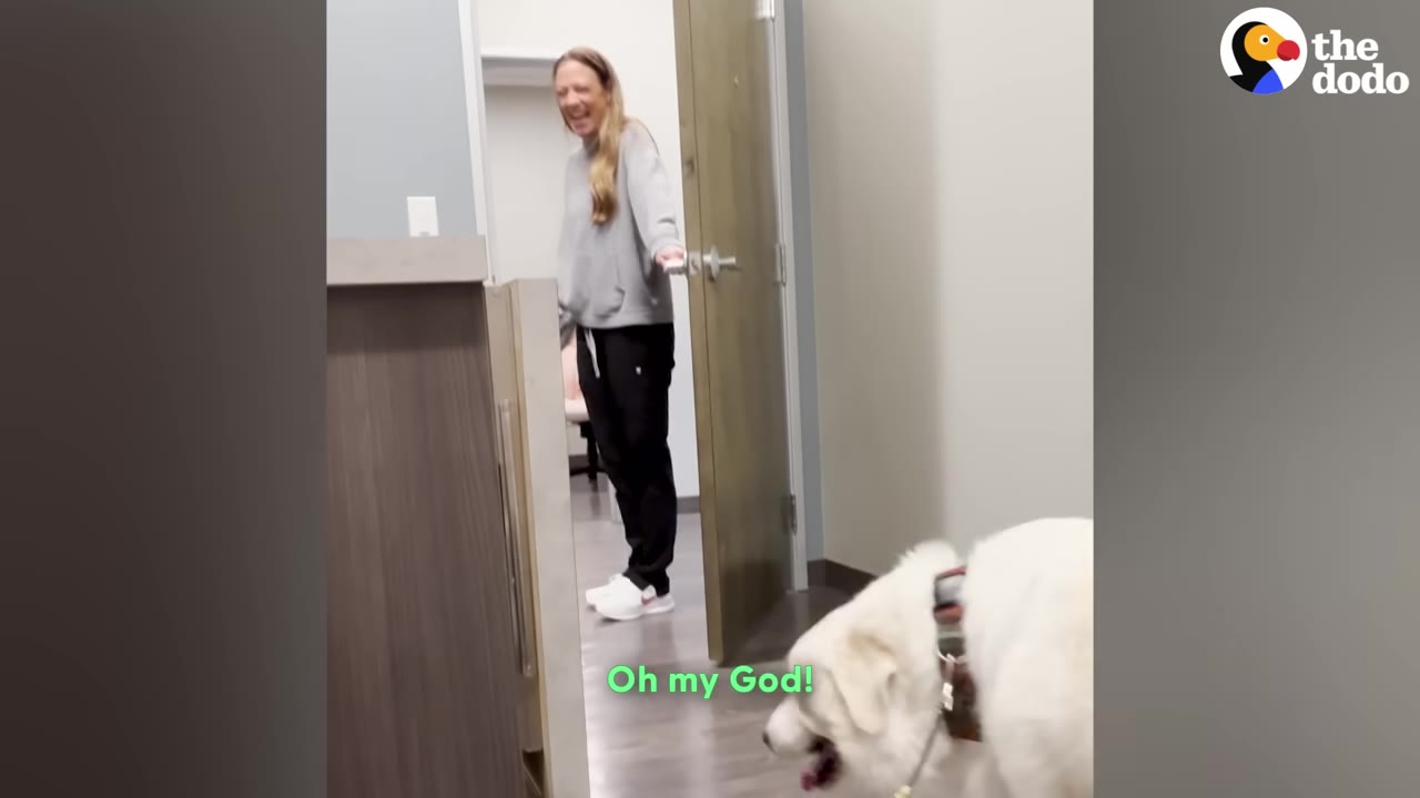 A woman in a grey sweatshirt and black pants stands in a doorway at a veterinary clinic, smiling in surprise, while a large white dog stands in the foreground.