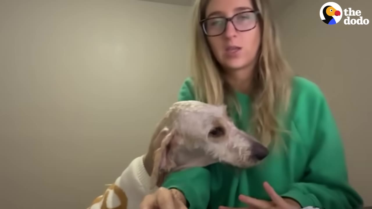 A woman wearing glasses and a green sweatshirt sits with a light-colored dog resting its head on her arm.