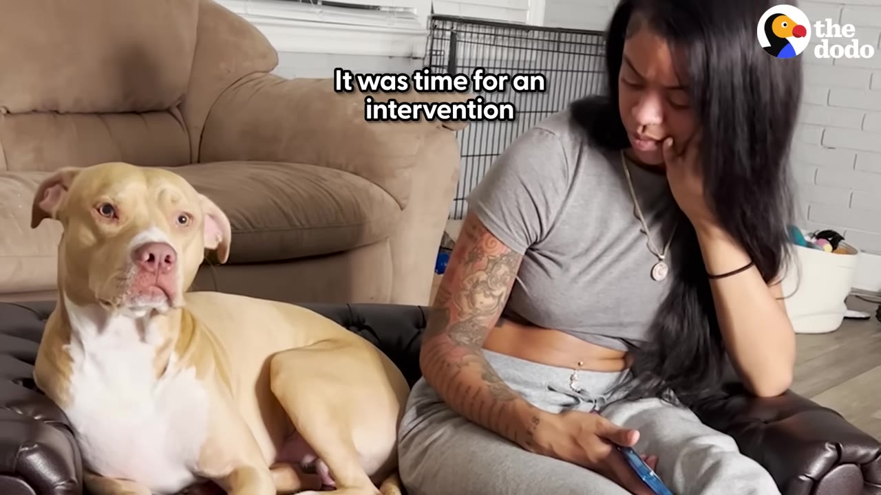 A tan and white pit bull sits on a leather chair next to a woman with long dark hair and arm tattoos, who is looking down thoughtfully during an intervention.