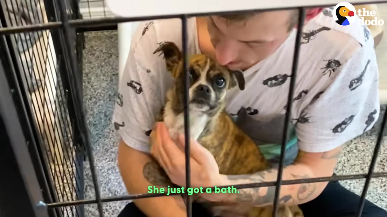 A man holding a small brindle dog close to his chest, seen through the bars of a wire crate, with text on the screen reading 'She just got a bath.'