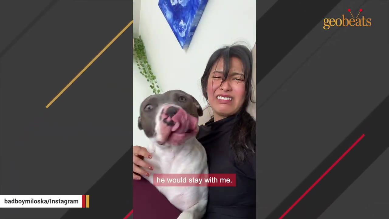 A woman with dark hair looks emotional and tearful as she sits next to her grey and white dog, who is licking its nose.
