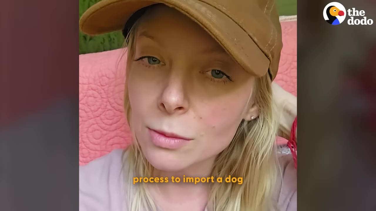 A close-up of a blonde woman wearing a brown cap, speaking directly to the camera with the caption 'process to import a dog' on screen.