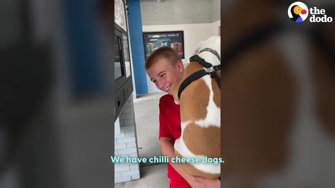 A smiling boy in a red shirt holds a brown and white dog up to a drive-thru ordering screen.