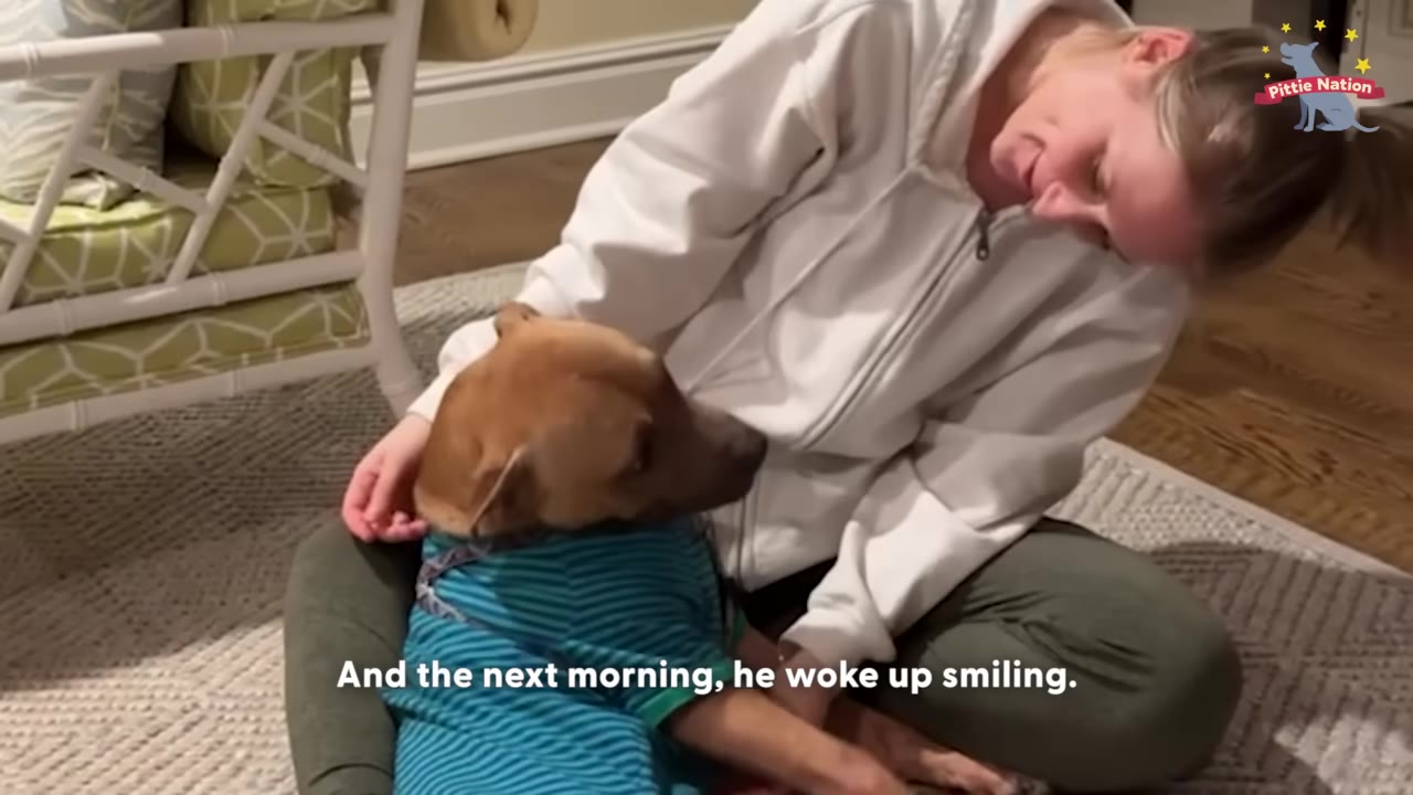 A woman in a white hoodie sits on a rug, smiling down at a brown dog wearing a blue and green striped shirt resting in her lap.