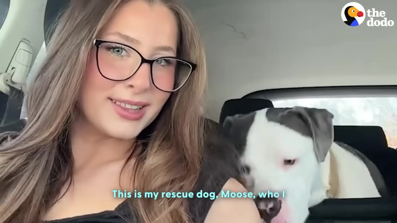 A young woman with long brown hair and black-rimmed glasses smiles in the front seat of a car, while a grey and white dog named Moose sits in the back seat behind her.