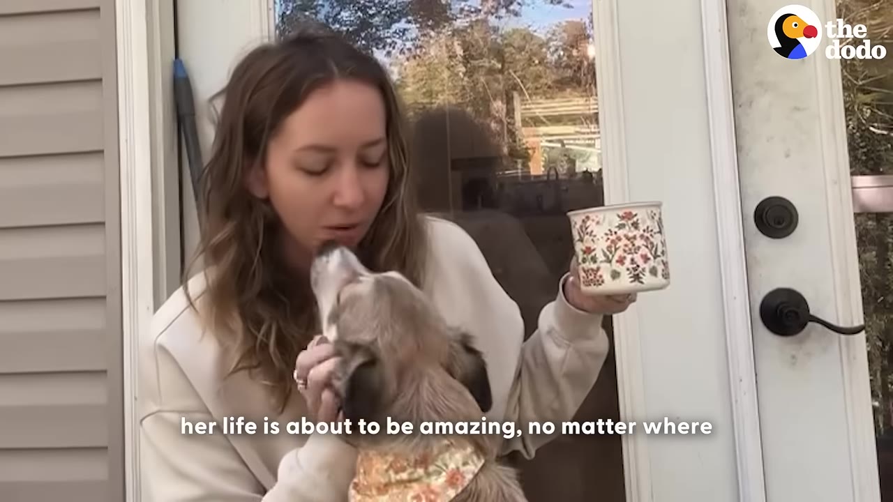 A woman holding a floral mug looks down affectionately at a light-colored dog wearing a patterned bandana, who is looking up at her.
