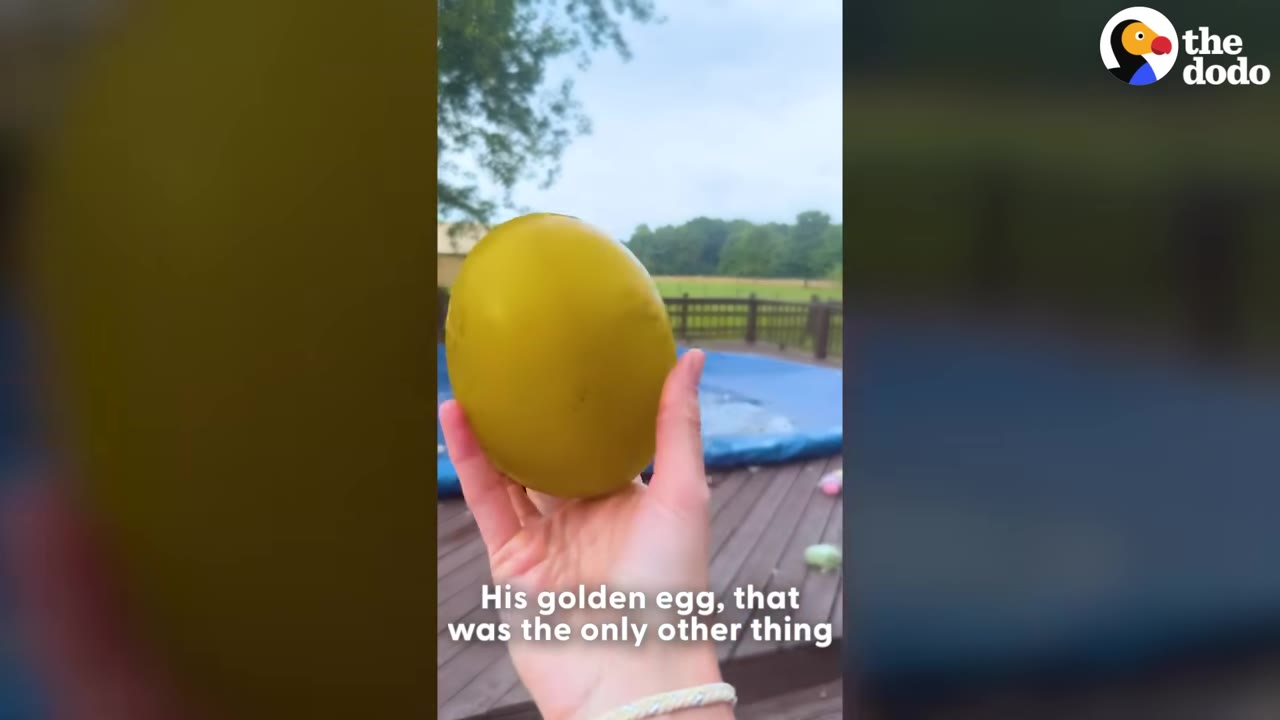A hand holding a large, smooth, yellow-green egg-shaped stone outdoors.