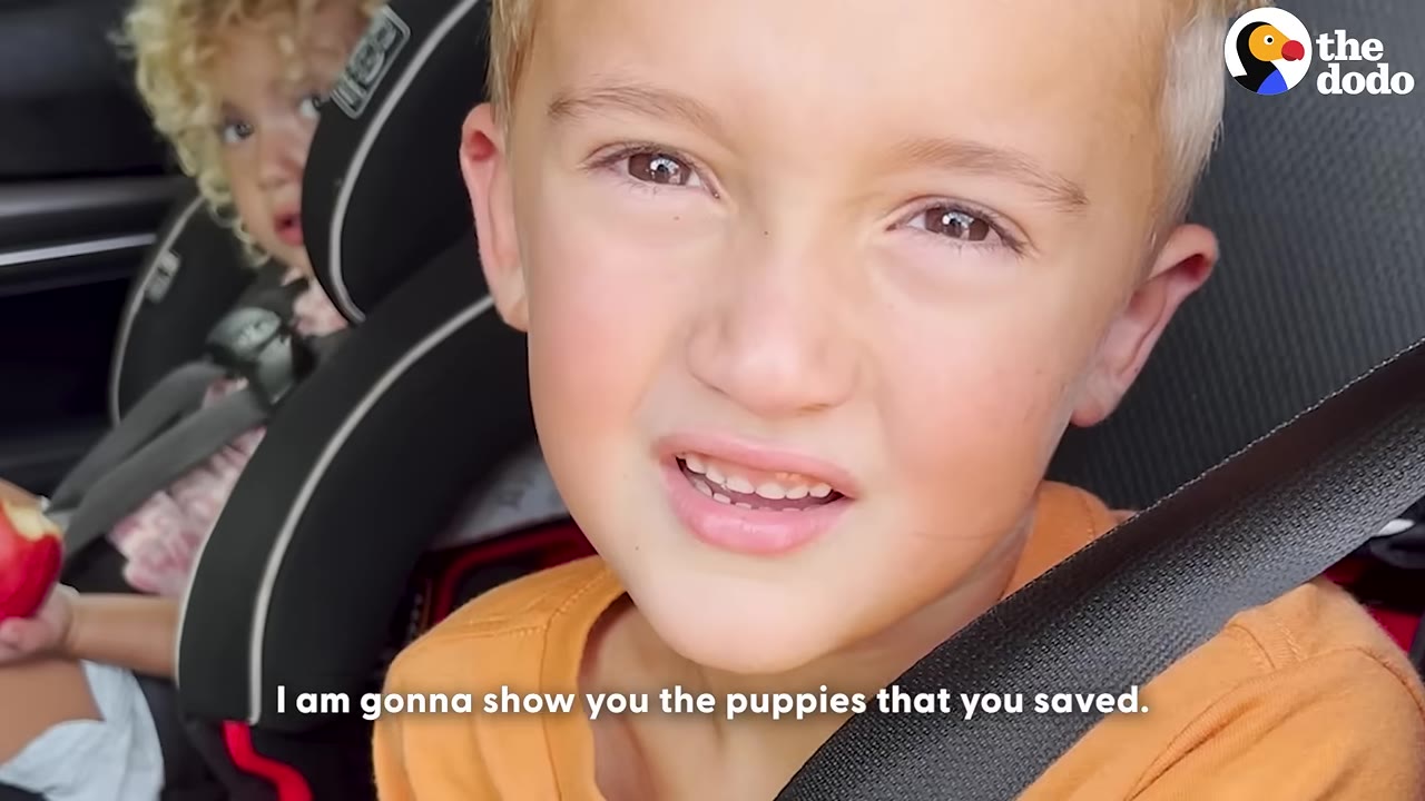 A close-up of a young blonde boy in a car seat looking surprised and happy as a subtitle reads, 'I am gonna show you the puppies that you saved.'