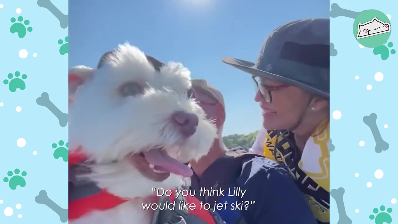 A close-up of a happy white dog with its tongue out next to its owners, with text overlay that reads, 'Do you think Lilly would like to jet ski?'