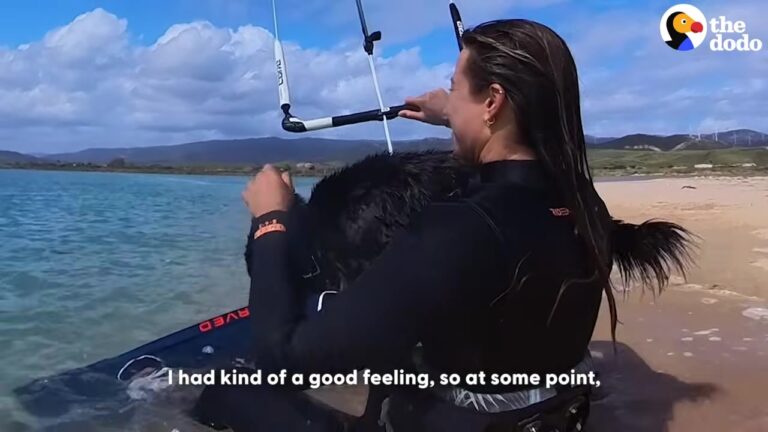 California Kitesurfer Adopts A Street Dog From Russia And Is Stunned By What She Wants To Do At The Beach