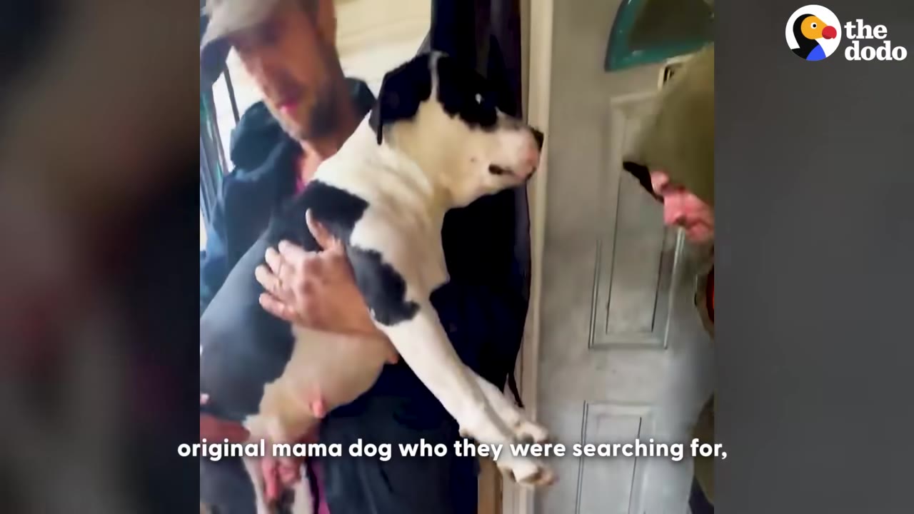 A man holding a black and white dog in his arms near a doorway.
