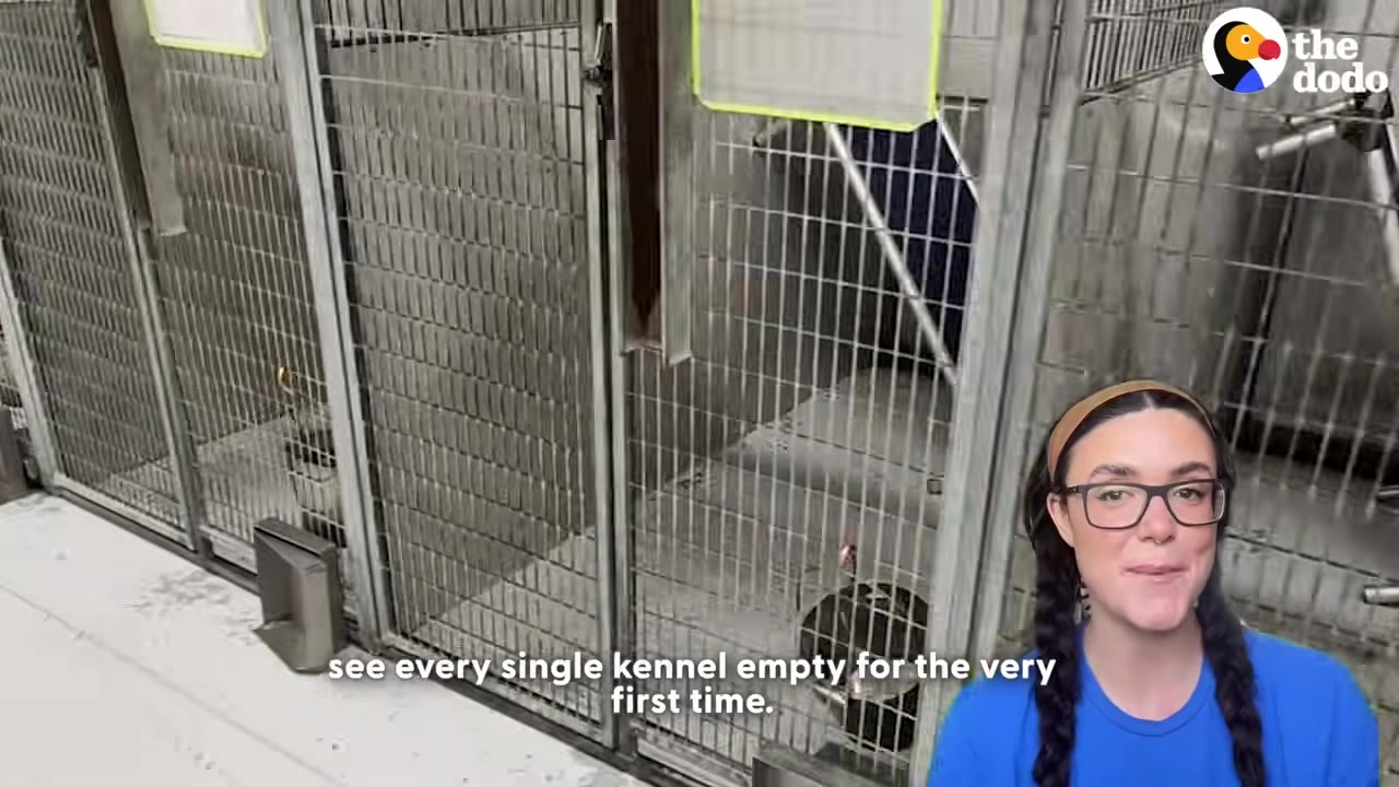 A row of empty metal dog kennels inside an animal shelter, with a woman in a blue shirt and glasses in a picture-in-picture frame in the bottom right corner.