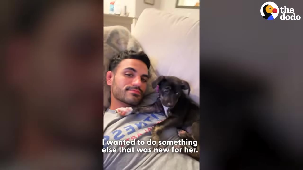 A man lies on a couch with a small black and white puppy resting on his chest, looking towards the camera.