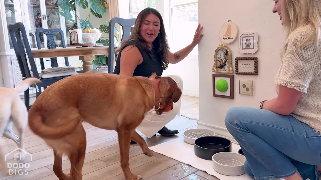 Two women crouch next to a dog feeding station with stylish bowls on a white mat, while one woman gestures toward a gallery wall of framed pet art and a dog stands nearby.
