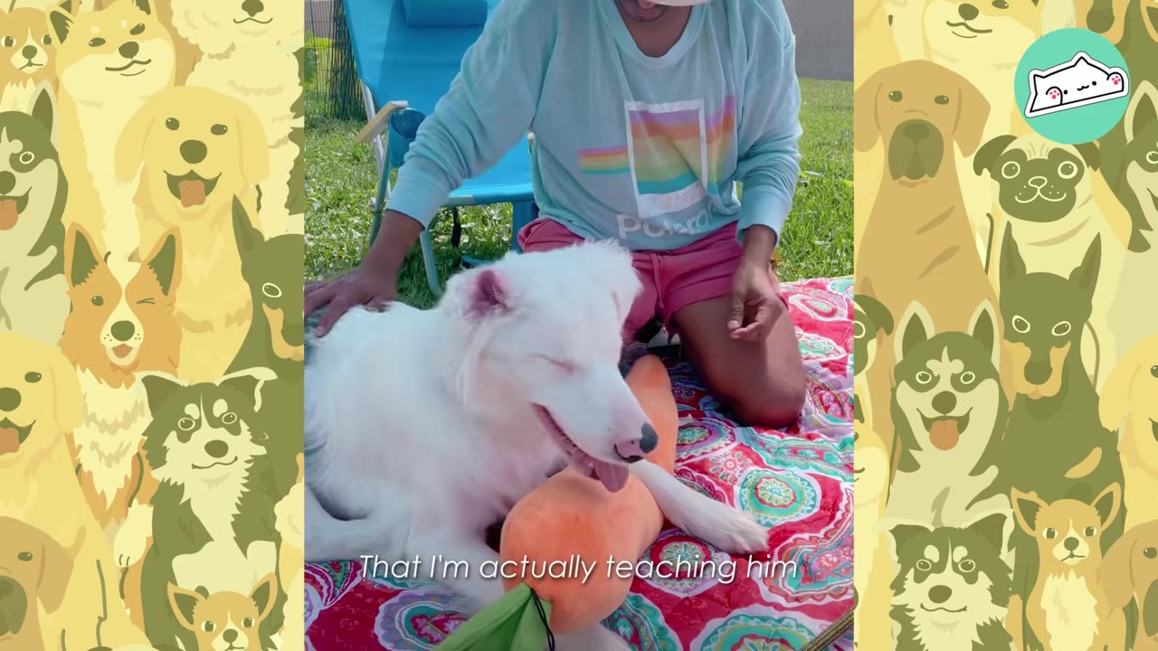 A white dog lies on a colorful blanket outdoors next to a person, happily resting its head on a large plush carrot toy.