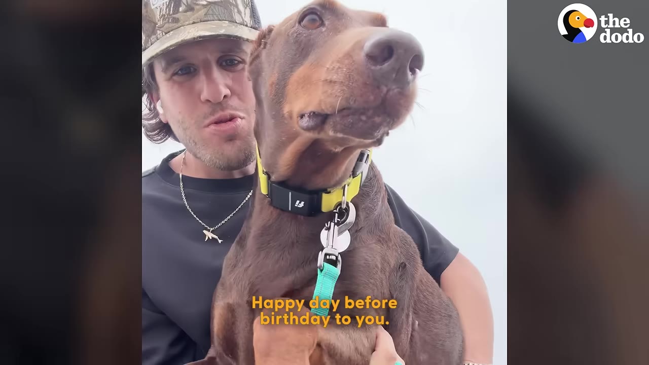 A man wearing a camo hat holds a brown Doberman dog close while singing, with the subtitle 'Happy day before birthday to you' displayed on screen.