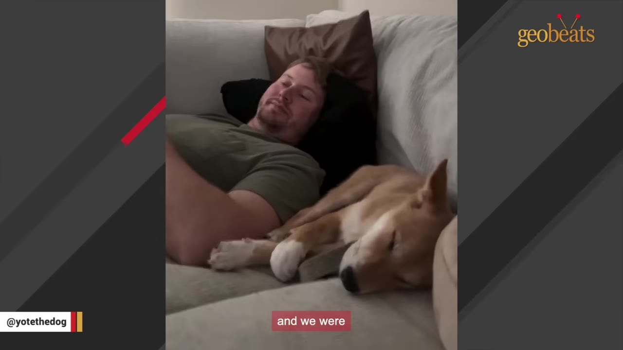 A man lies resting on a couch with a light brown dog sleeping peacefully beside him.