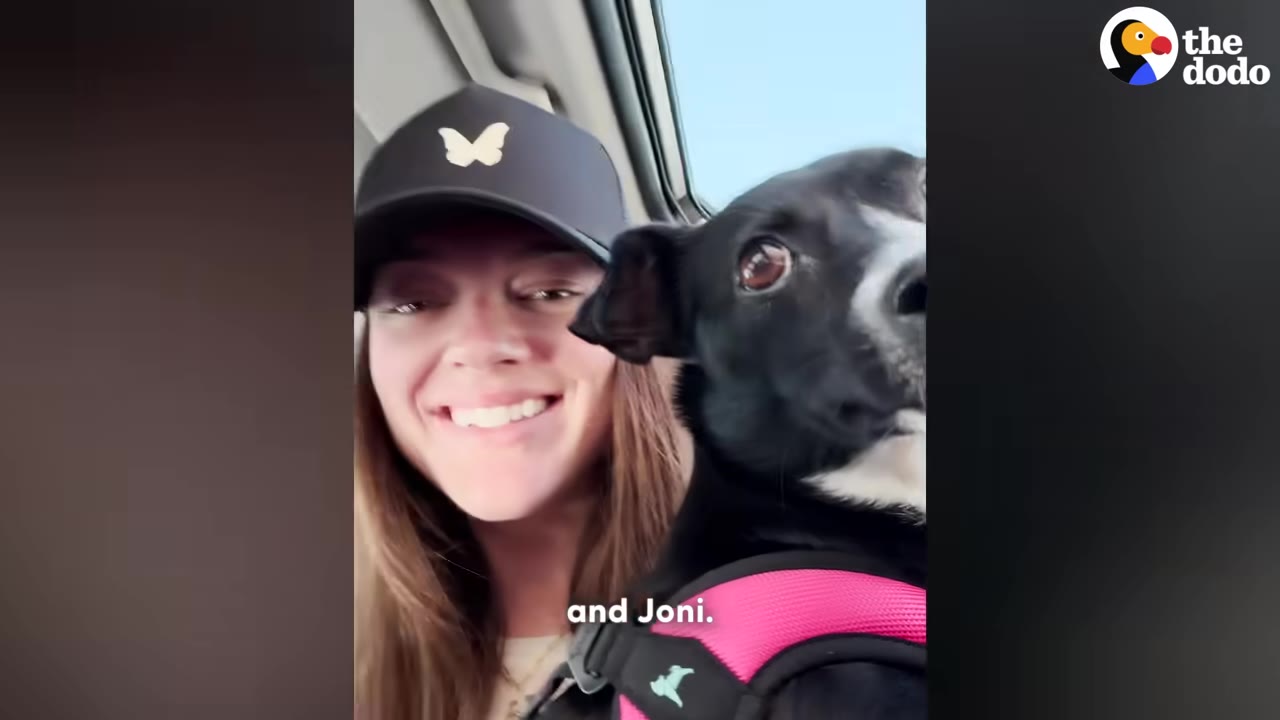 A smiling woman wearing a black baseball cap with a butterfly logo sits in a car next to a black and white dog wearing a pink harness.