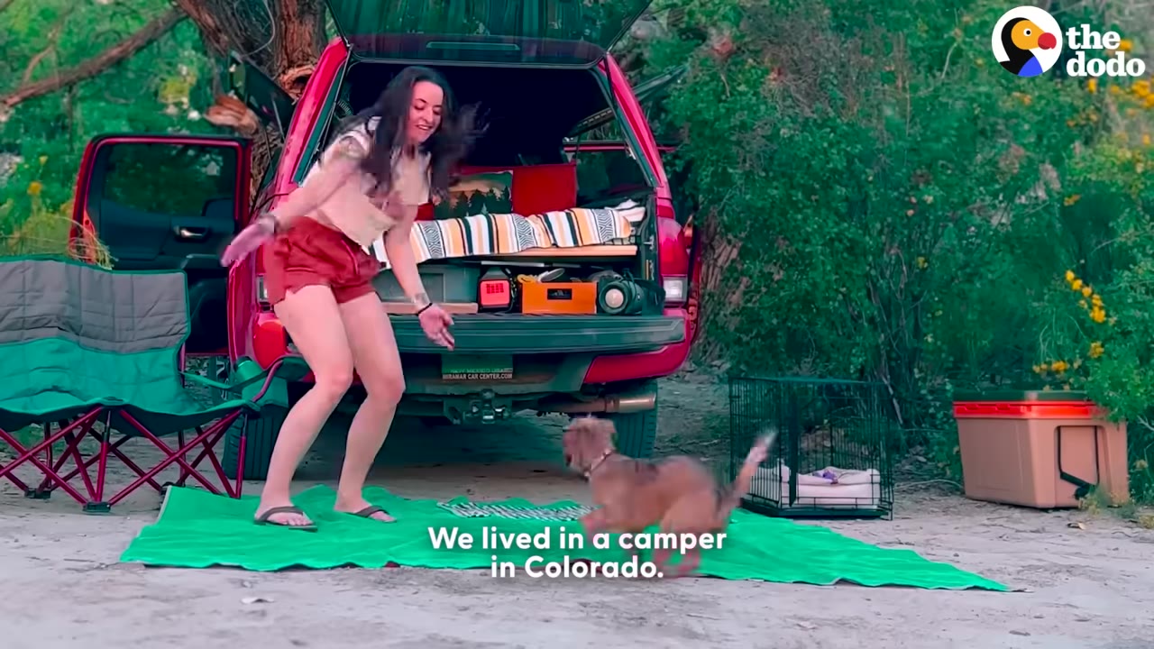 A woman in a white t-shirt and red shorts dances happily on a green mat next to her small brown dog, in front of an open red camper truck parked outdoors.