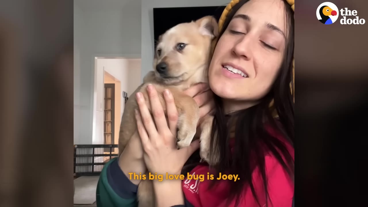 A woman in a yellow hood holds a light brown puppy close to her face, with text on screen reading 'This big love bug is Joey.'