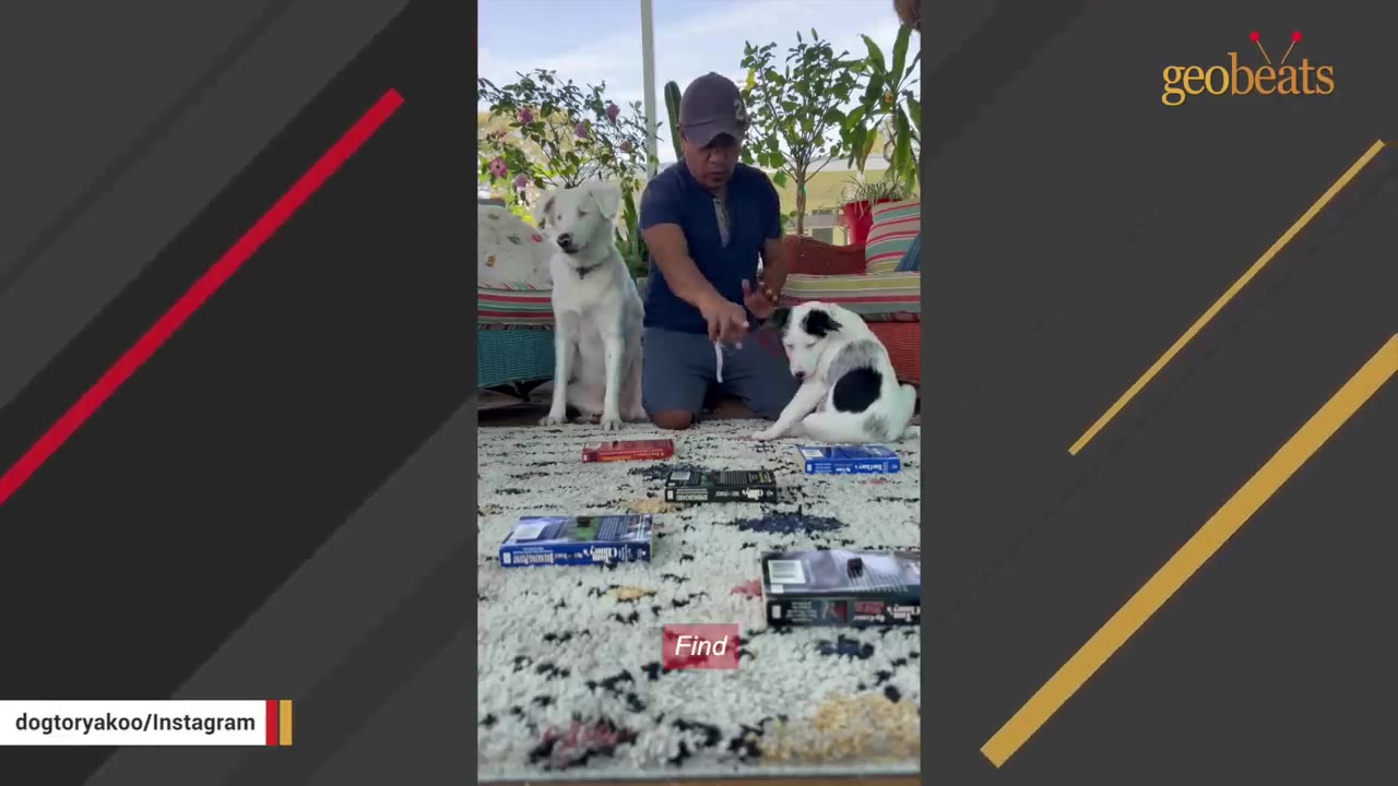 A man in a blue shirt and cap sits on a rug with two dogs, making a hand gesture as a visual cue with the word 'Find' captioned on the screen.