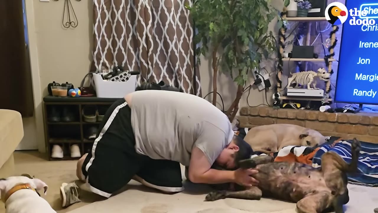 A man in a grey t-shirt and black shorts kneels on the living room floor, leaning over to cuddle a brindle dog lying on its back with its paws in the air.