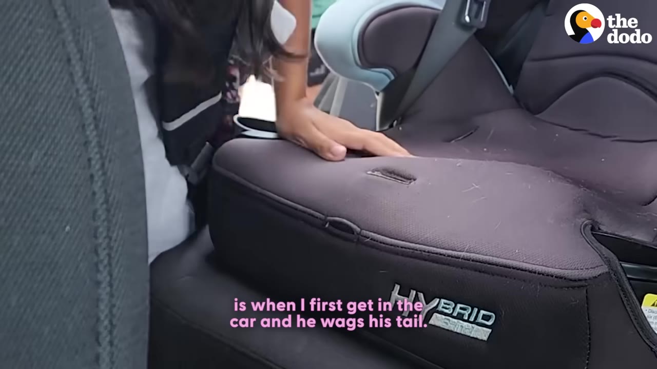 A young girl gets into her car seat in the back of a vehicle.