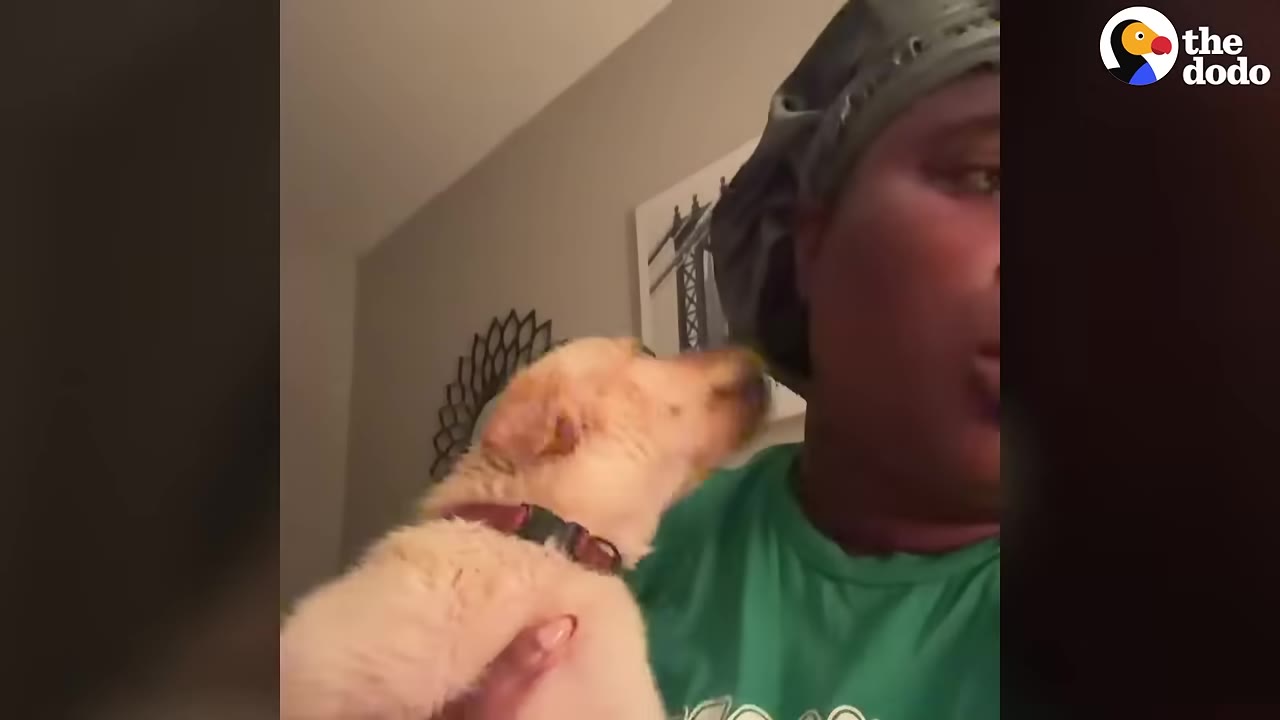 A small golden puppy wearing a collar is held by a person wearing a green shirt and a grey satin hair bonnet at night.