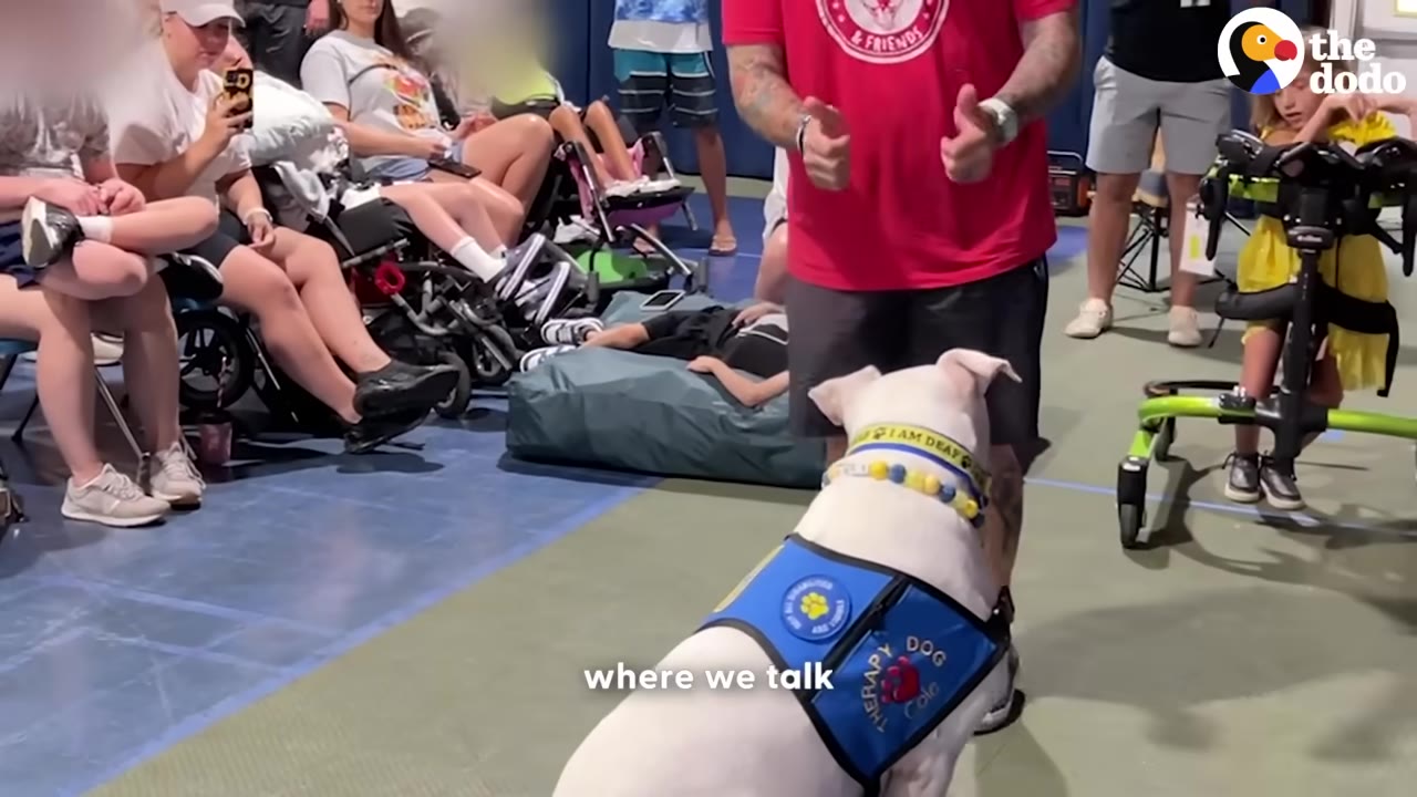 A white dog wearing a blue therapy vest and a yellow collar looks up at a man in a red shirt who is gesturing with his hands in front of an audience of children.