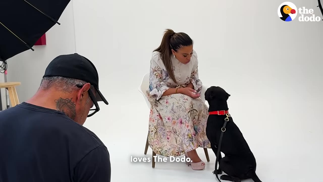 A woman in a floral dress sits on a white chair in a photo studio, looking down at a black dog wearing a red collar that is sitting in front of her, while a photographer is seen from behind in the foreground.