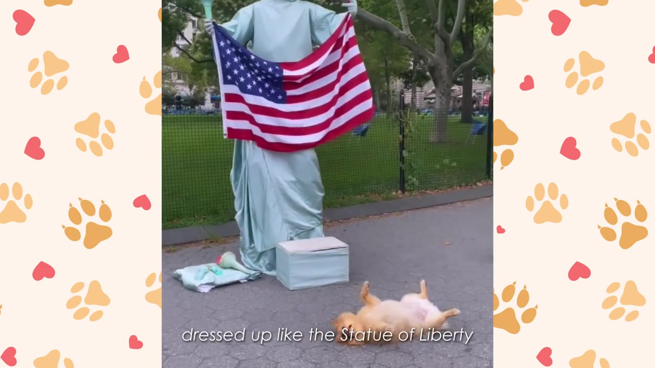 A small, fluffy tan dog lies on its back on a paved path in front of a street performer dressed as the Statue of Liberty holding an American flag.