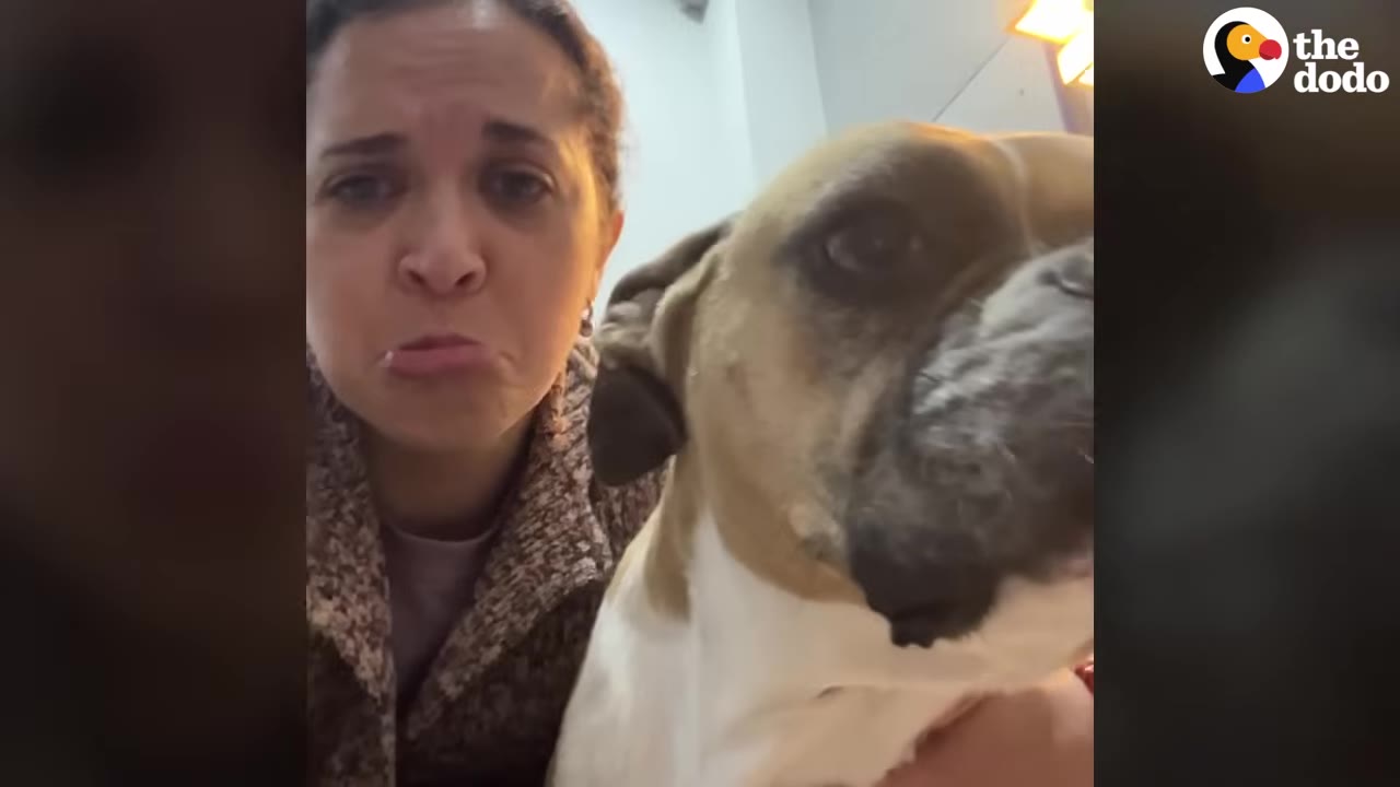 A woman with a concerned expression looks at the camera next to a tan and white dog.