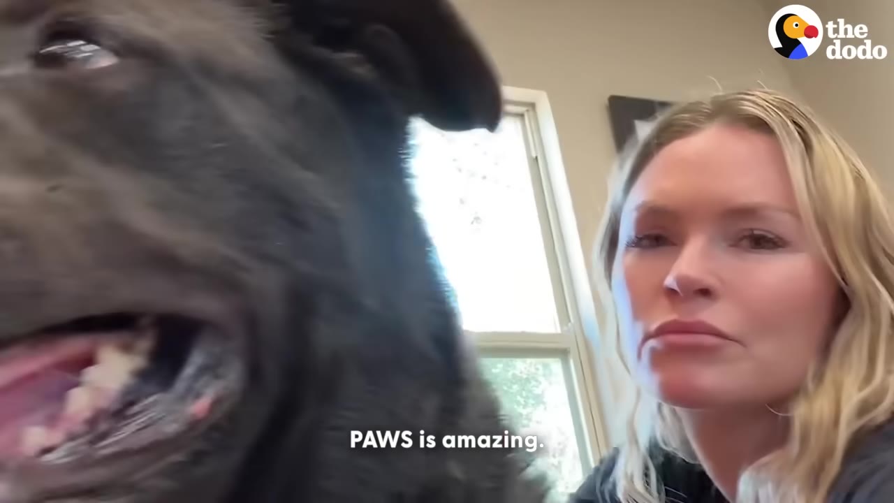 A close-up of a blonde woman looking at the camera next to a large black dog, with a window in the background.