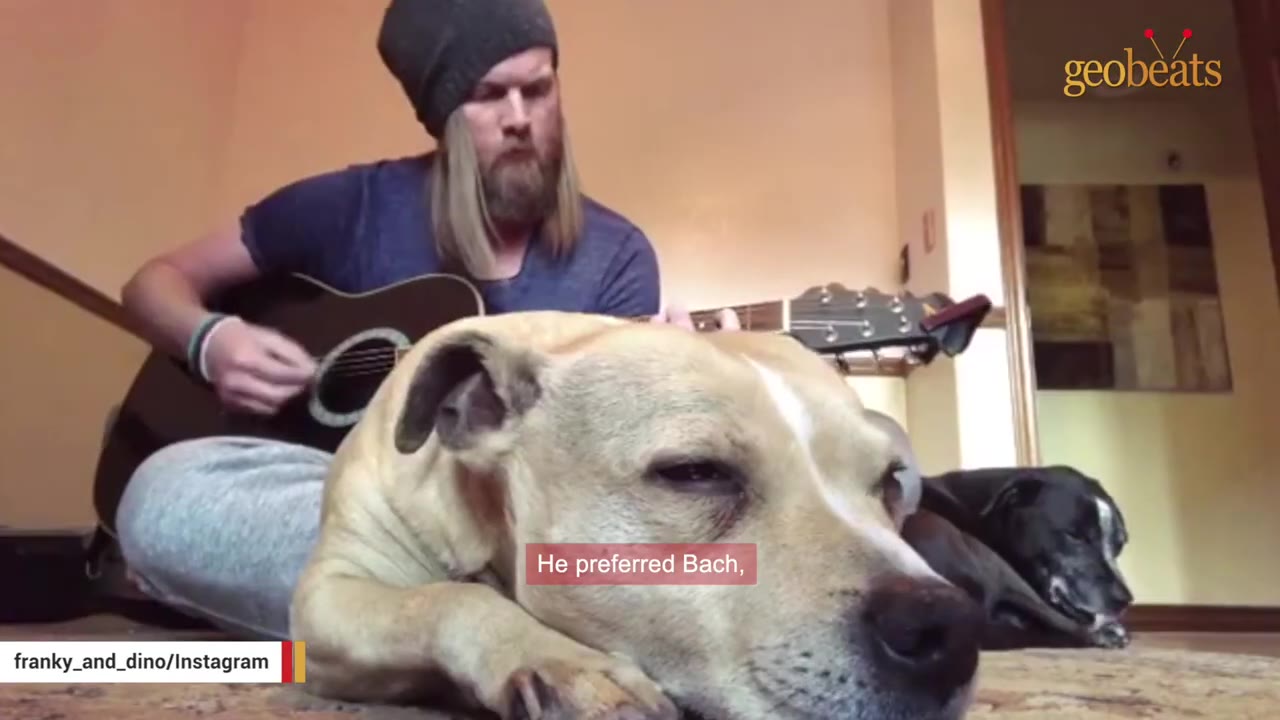 A man with long blonde hair and a beanie plays an acoustic guitar while a tan dog rests its head on the floor in front of him, with the subtitle 'He preferred Bach,'.