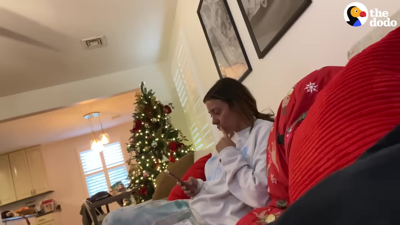 A woman sits on a couch next to a red pillow, looking down at her phone with a small dog snuggled beside her in a living room decorated with a Christmas tree.