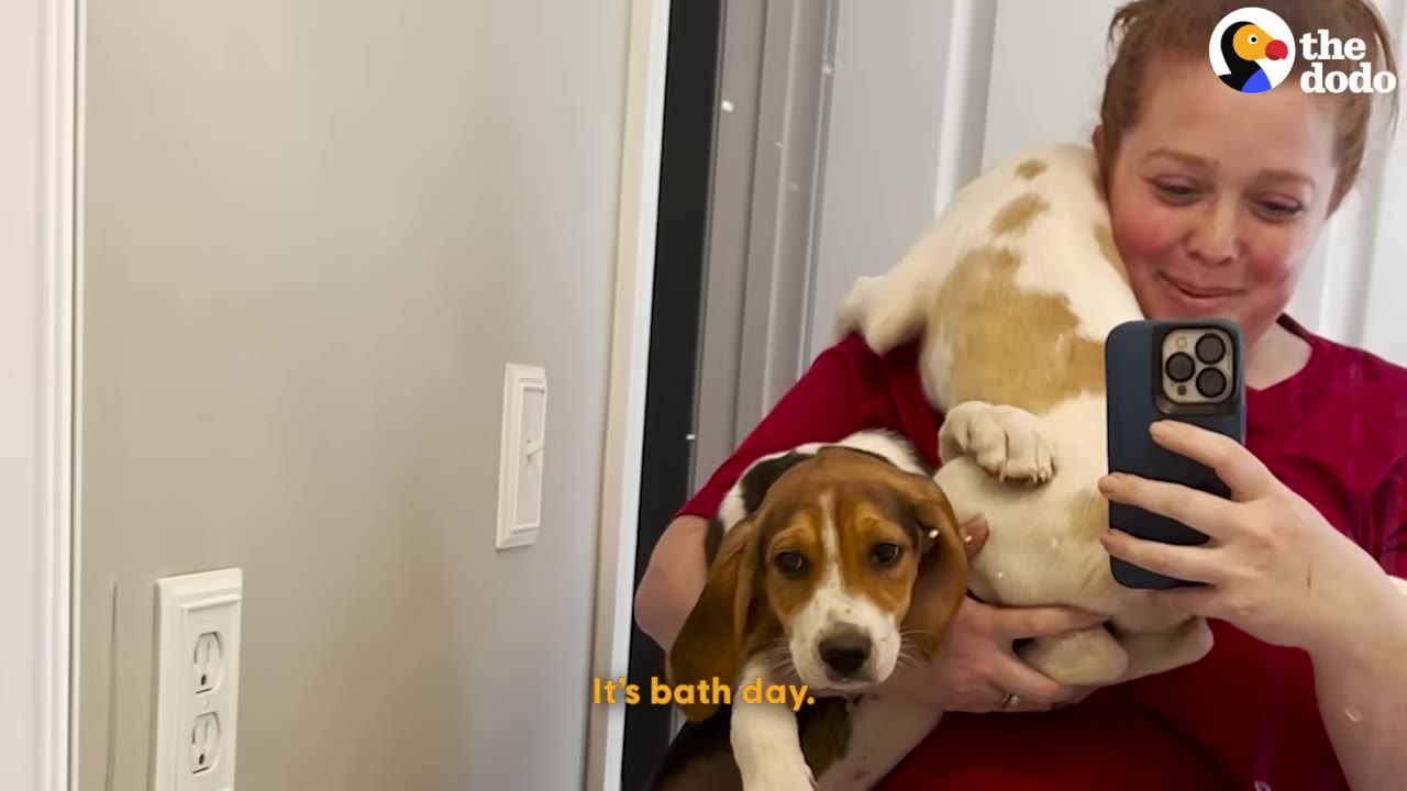 A smiling woman in a red shirt holds two beagle puppies in front of a bathroom mirror while taking a selfie with her phone.