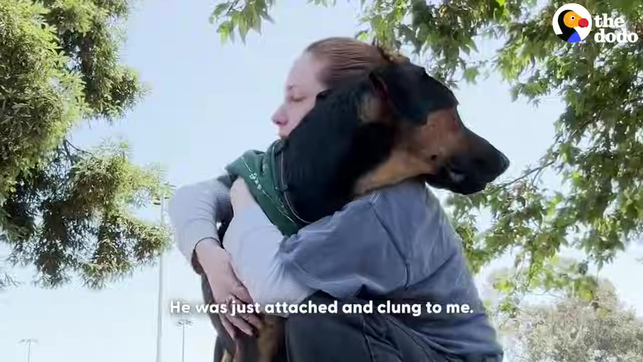 A woman in a grey shirt hugs a large black and brown dog tightly outdoors under green trees.