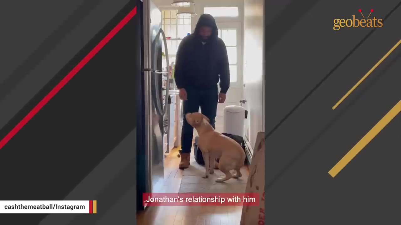 A tan dog looks up affectionately at a man wearing a black hooded sweatshirt standing in a kitchen hallway.