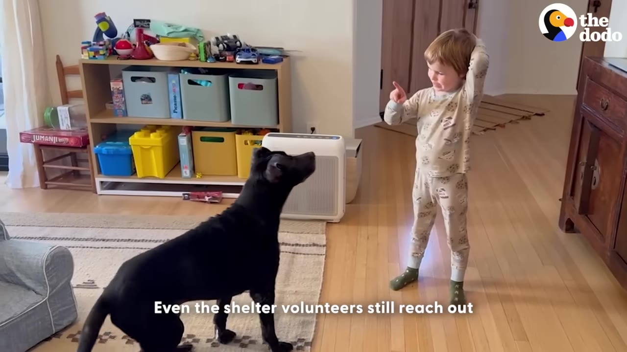 A black dog stands on a rug inside a living room, looking up at a young boy in pajamas who is pointing his finger.