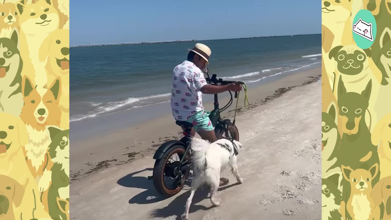 A white dog runs along a sandy beach next to a man riding an electric bicycle near the ocean.