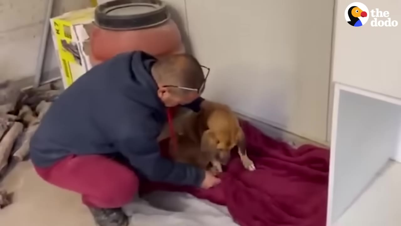A man in a blue hoodie and red pants gently comforts a senior brown dog resting on a red blanket.