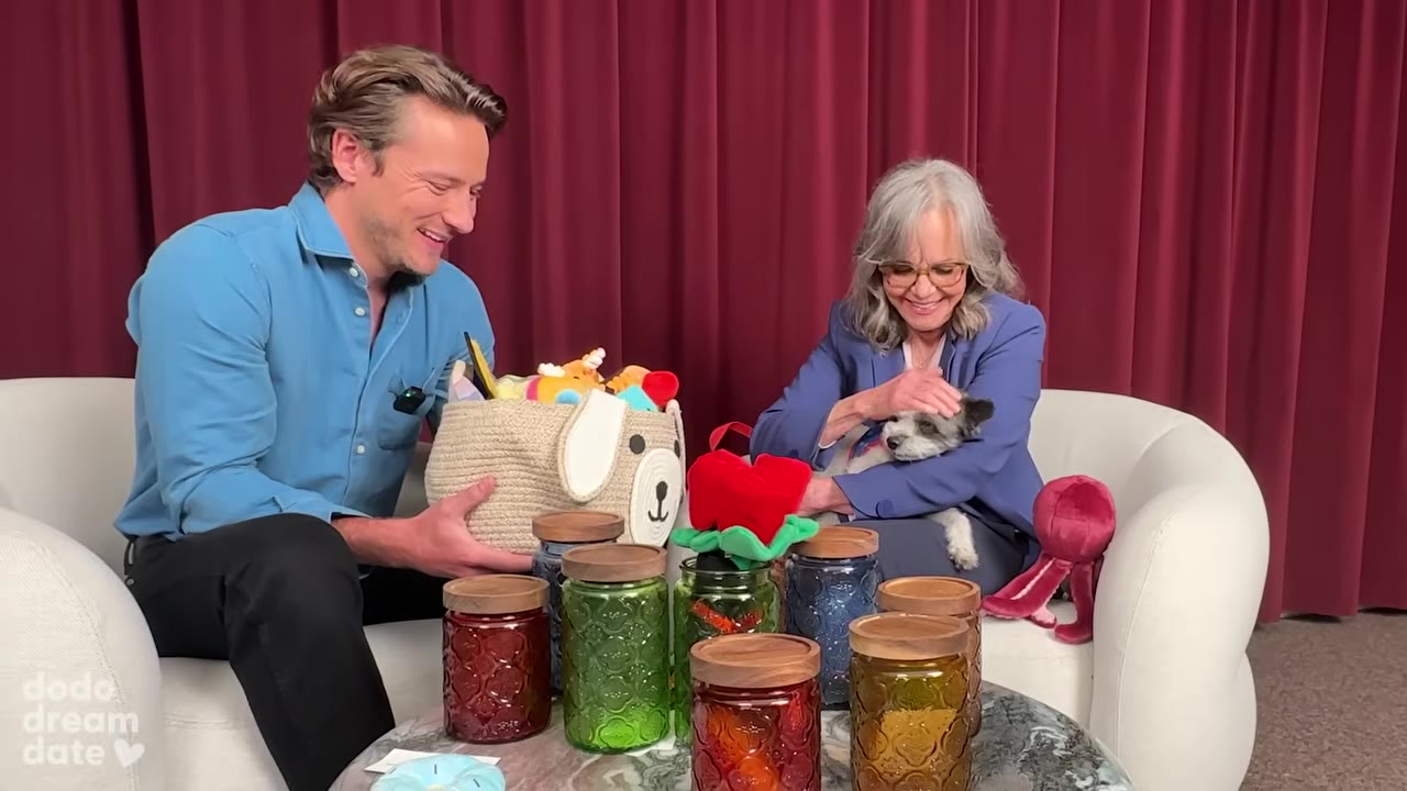 A woman with glasses and a blue blazer smiles as she pets a small grey and white dog in her lap, while a man in a blue shirt sits next to her holding a basket of dog toys.