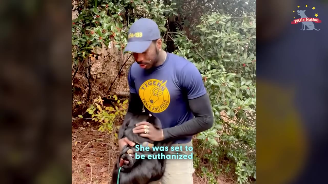 A man wearing a blue cap and a blue t-shirt with a yellow logo gently holds a black dog outdoors, with the subtitle 'She was set to be euthanized' visible on the screen.
